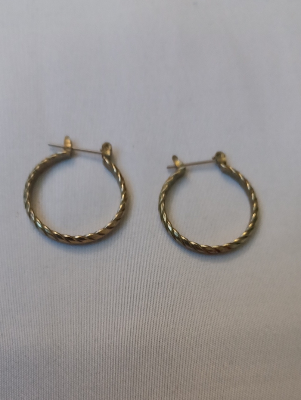 $4 Add-on Classic Twisted Hoop Earrings
